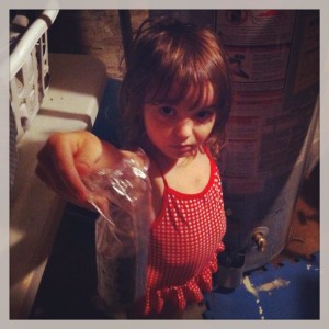 thin mints