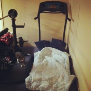 treadmill