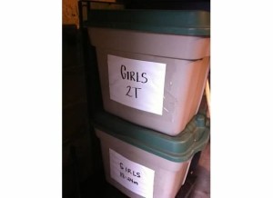 bins