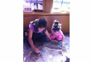 dino dig 2