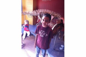 dino dig
