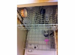 dish