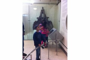 nyc dino